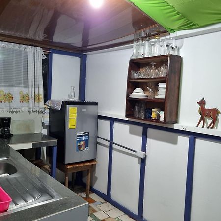 Wildlife Art Tortuguero Hotel Bagian luar foto