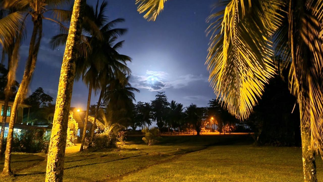 Wildlife Art Tortuguero Hotel Bagian luar foto