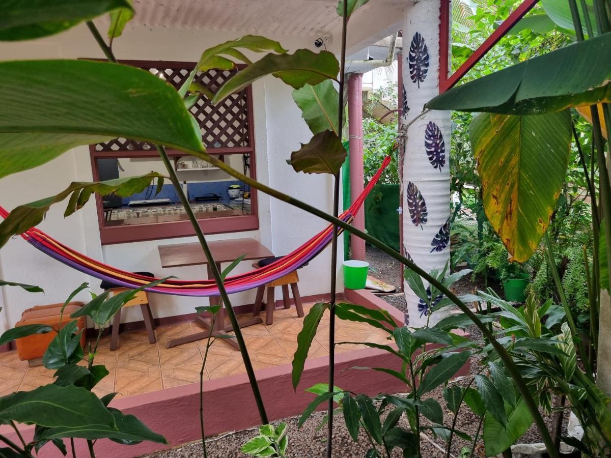 Wildlife Art Tortuguero Hotel Bagian luar foto