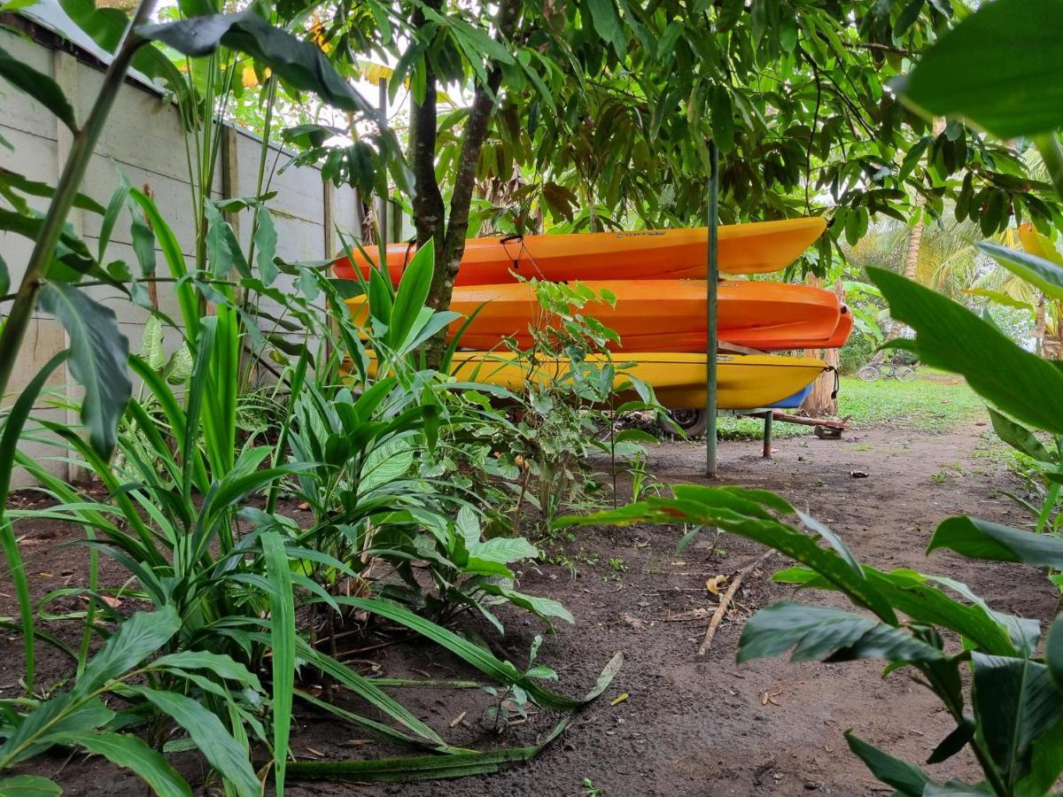 Wildlife Art Tortuguero Hotel Bagian luar foto