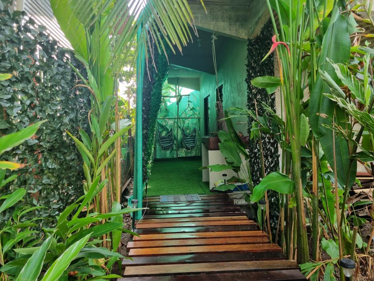Wildlife Art Tortuguero Hotel Bagian luar foto