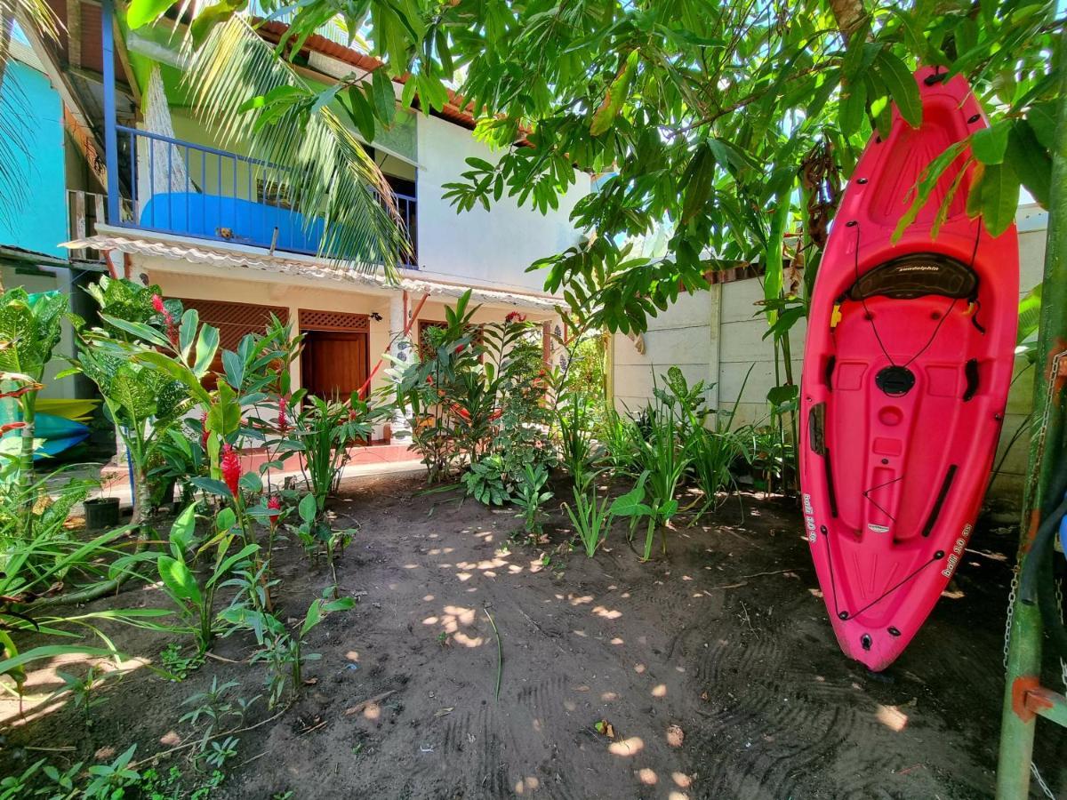 Wildlife Art Tortuguero Hotel Bagian luar foto