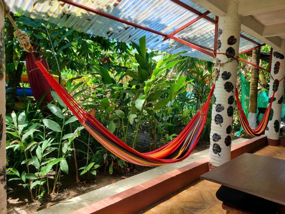 Wildlife Art Tortuguero Hotel Bagian luar foto
