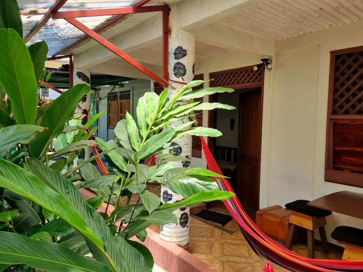 Wildlife Art Tortuguero Hotel Bagian luar foto