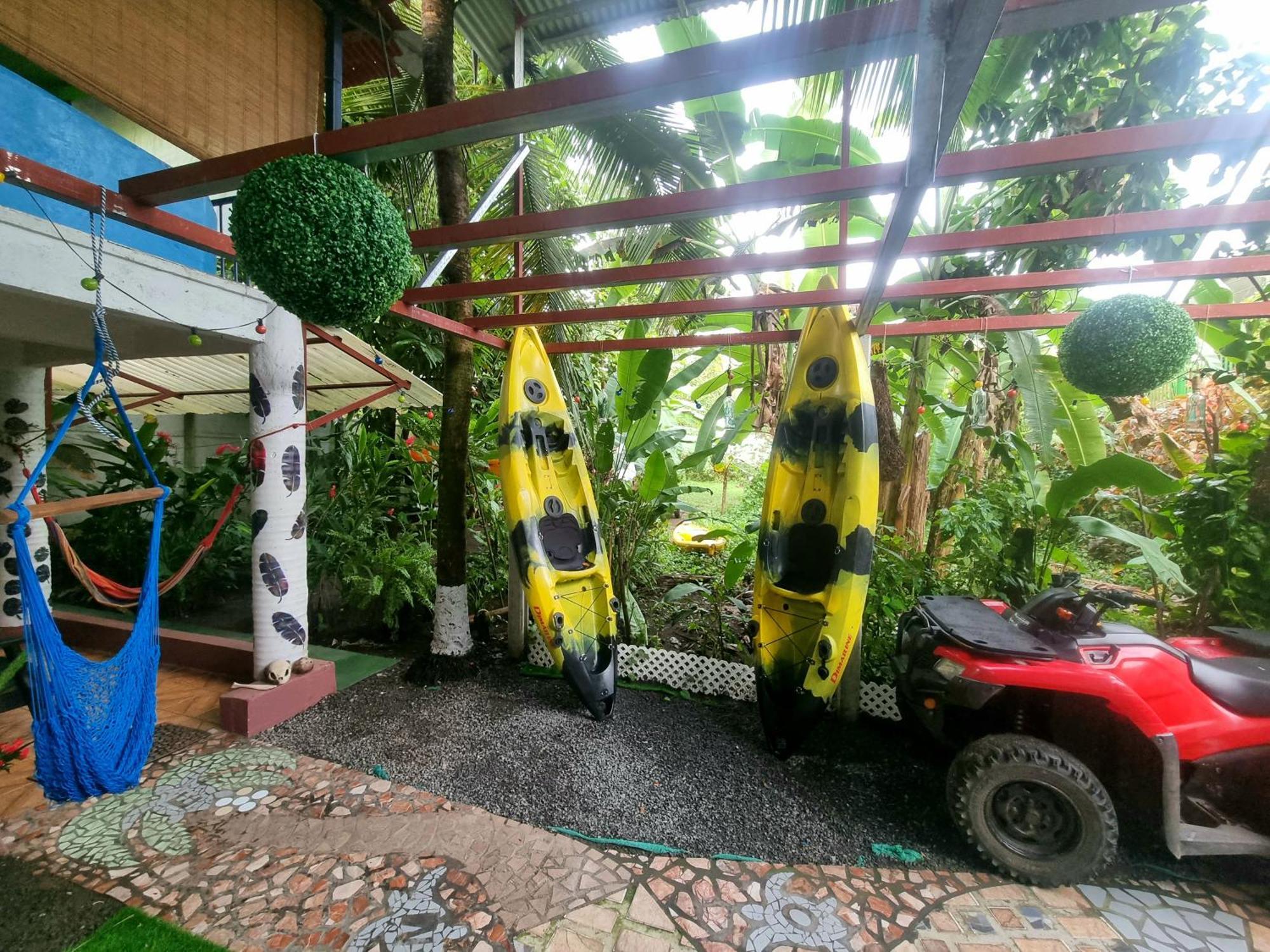 Wildlife Art Tortuguero Hotel Bagian luar foto