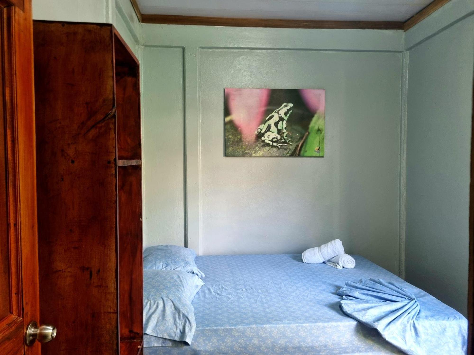 Wildlife Art Tortuguero Hotel Bagian luar foto