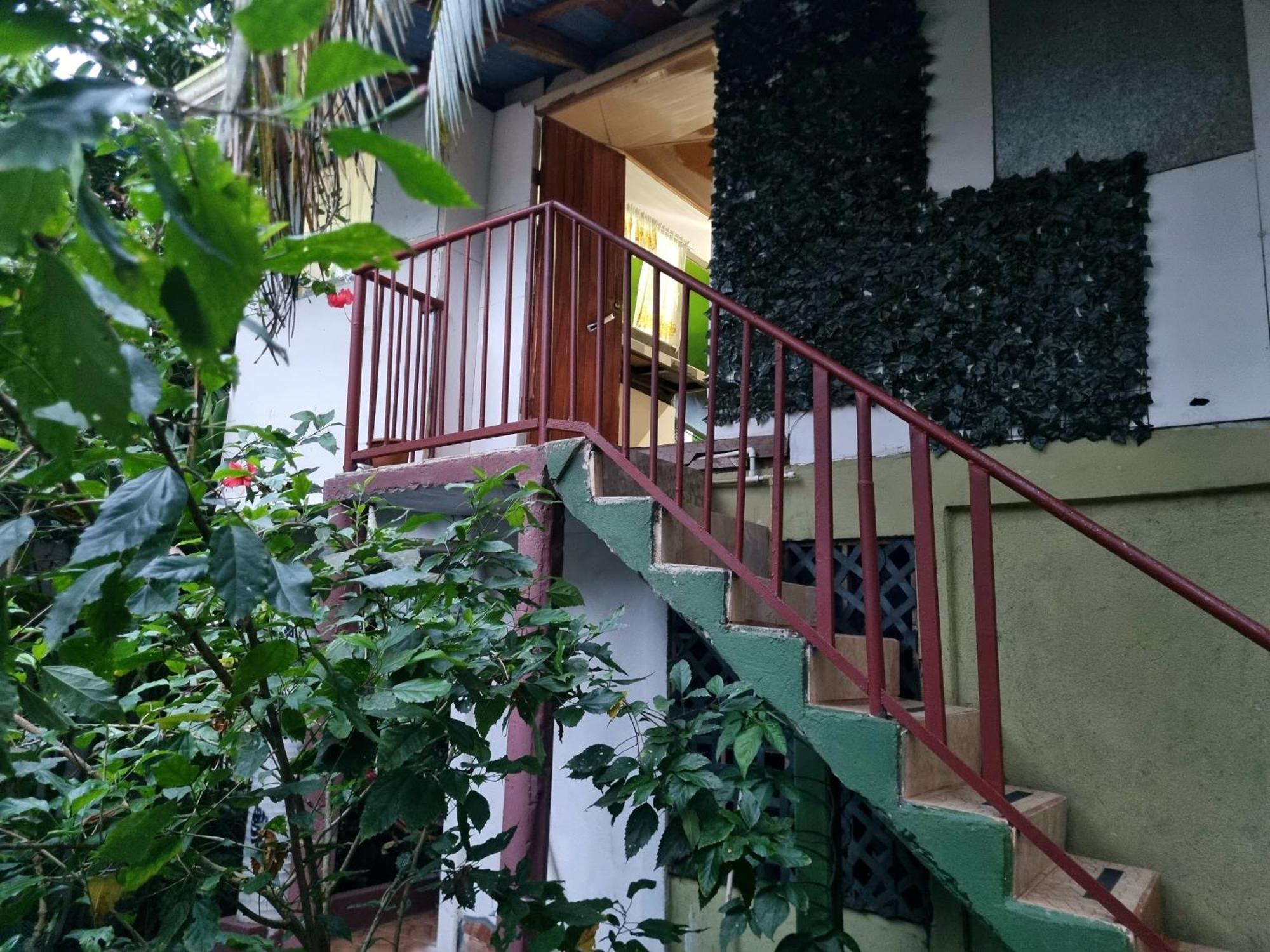 Wildlife Art Tortuguero Hotel Bagian luar foto