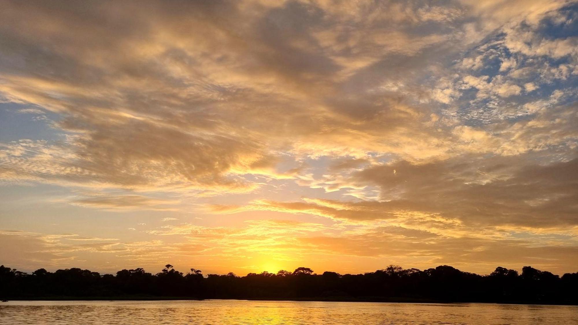 Wildlife Art Tortuguero Hotel Bagian luar foto
