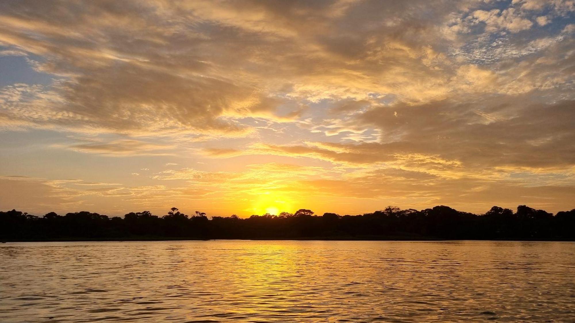 Wildlife Art Tortuguero Hotel Bagian luar foto