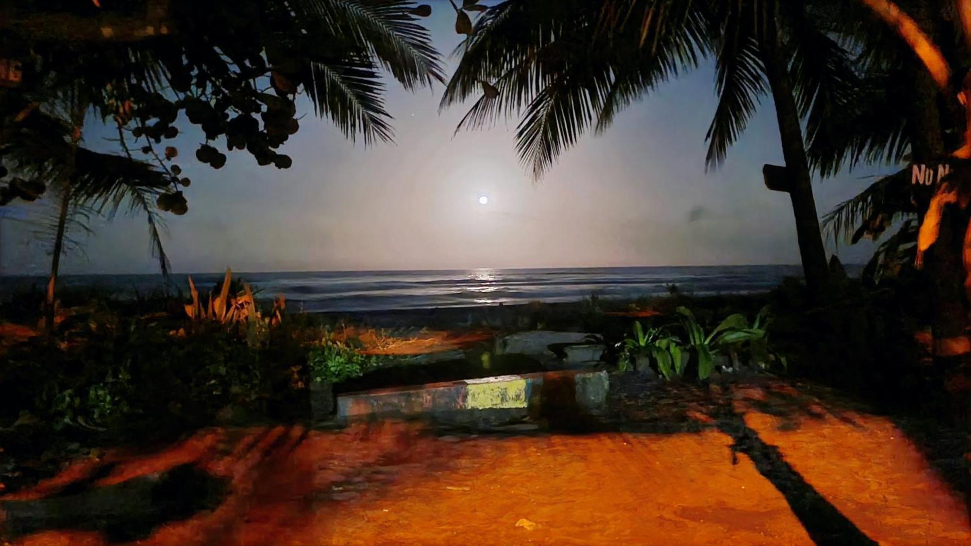 Wildlife Art Tortuguero Hotel Bagian luar foto