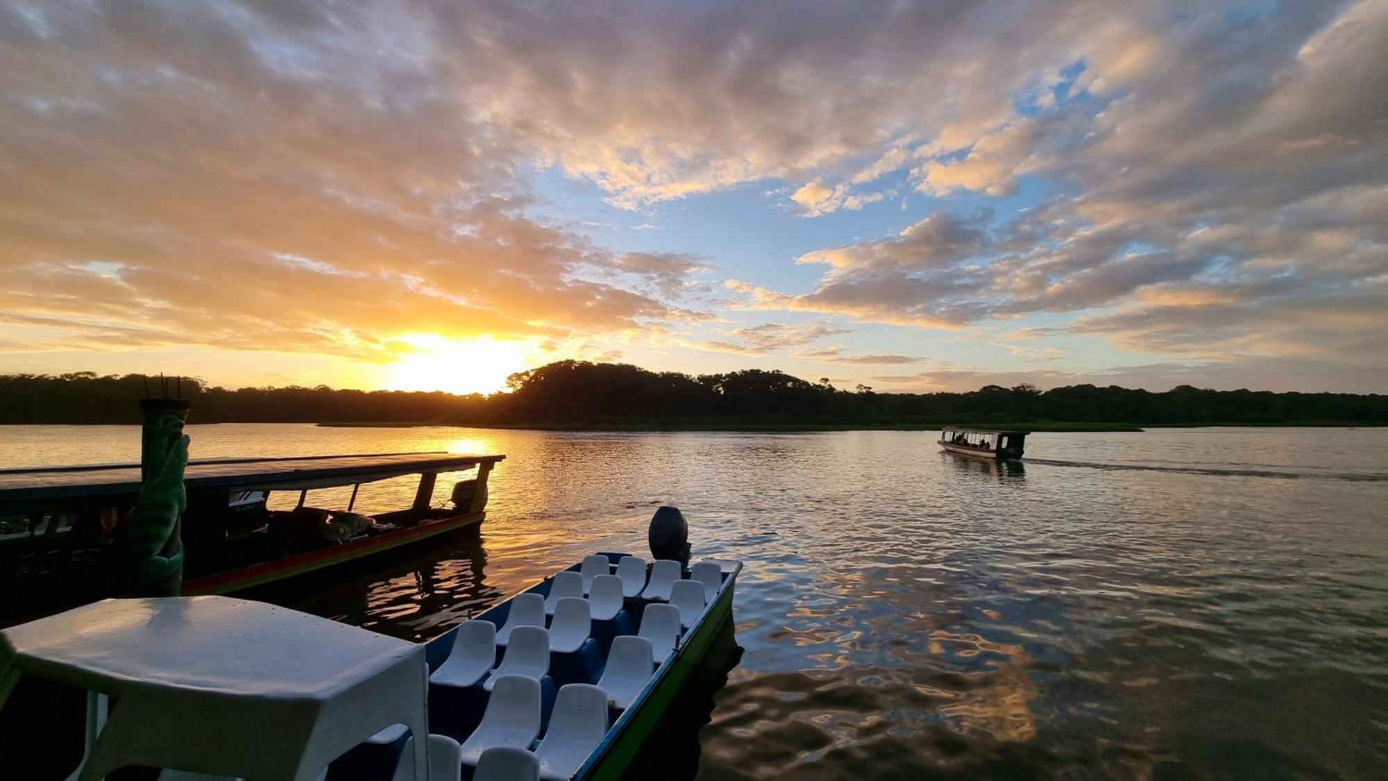 Wildlife Art Tortuguero Hotel Bagian luar foto