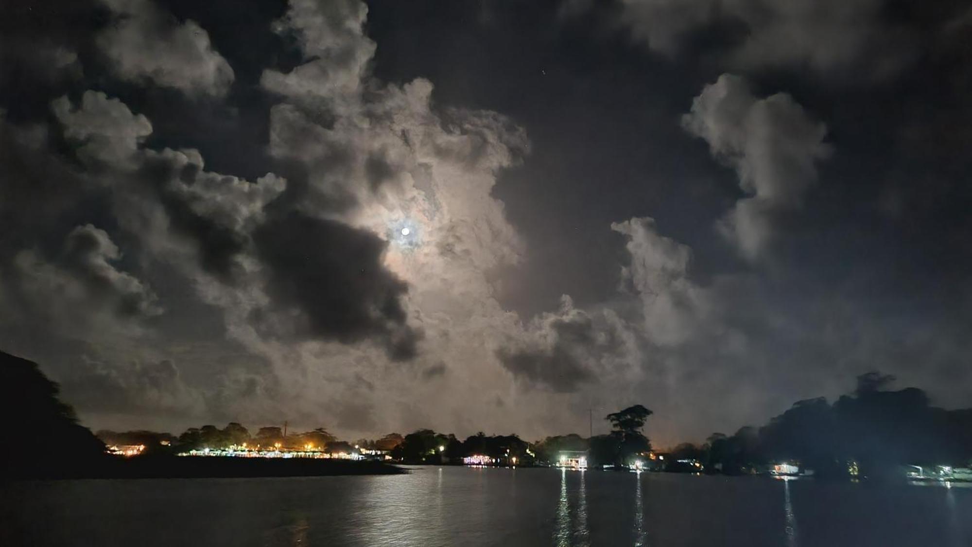 Wildlife Art Tortuguero Hotel Bagian luar foto