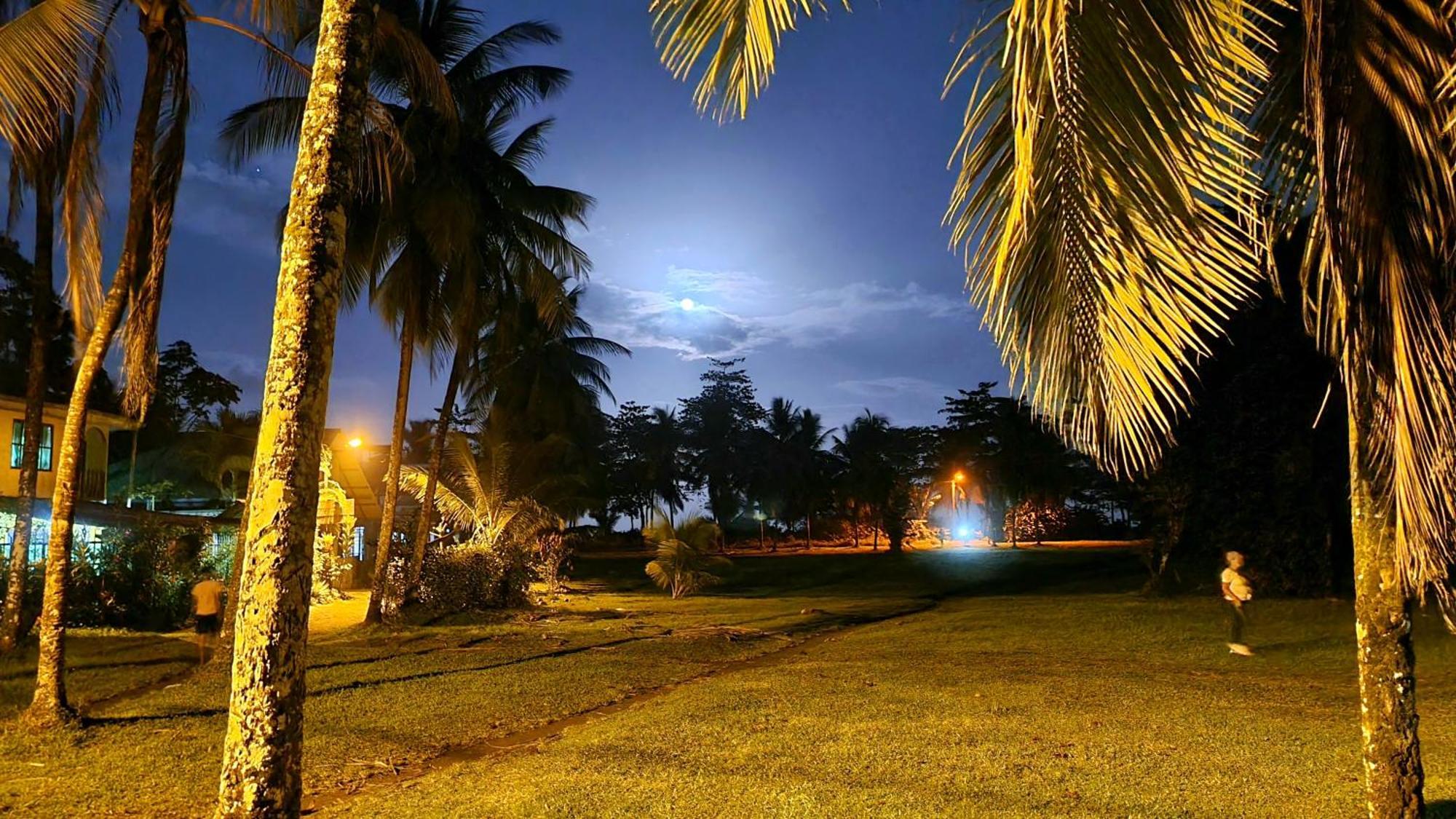 Wildlife Art Tortuguero Hotel Bagian luar foto