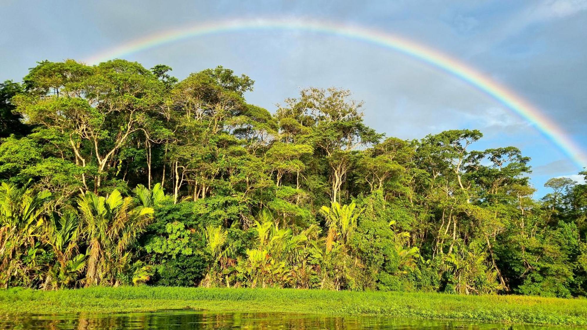 Wildlife Art Tortuguero Hotel Bagian luar foto